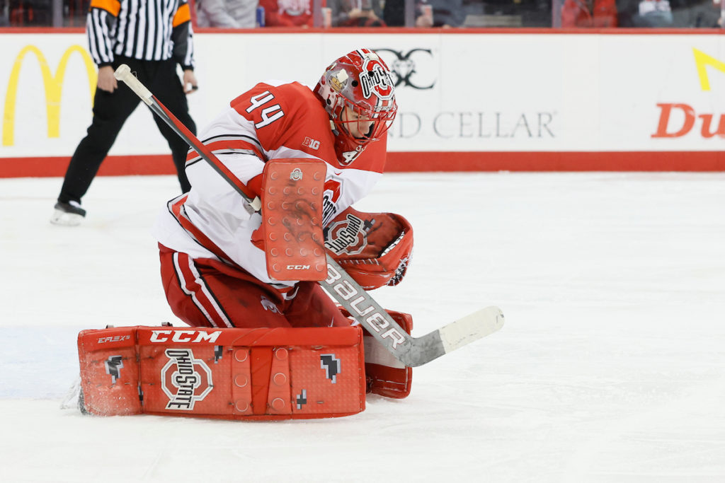 Men’s Hockey Big Ten Selects Dobeš As CoFreshman and Goaltender of